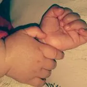 コブタの画像