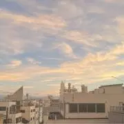 キツネの画像