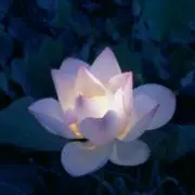 さ