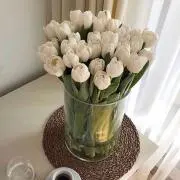 nonoの画像