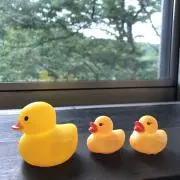 アスブンカの画像