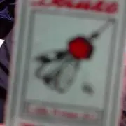 123