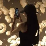 ナナ⭐️アパレル・雑貨の画像