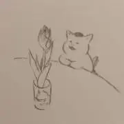りんごの画像