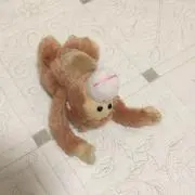クッカ☆