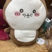 しじみの画像