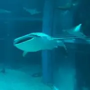 ☆えむびー712☆
