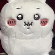 みーさんの画像