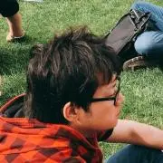 のりの画像