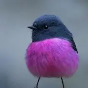 Lucian♢(⚠️プロフ要確認‼️)の画像