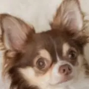 もこの画像