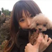 nの画像