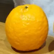 kedamaの画像