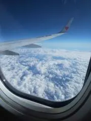 moku♪の画像