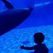 ちすたの画像