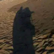 マスーの画像