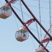 こたろうの画像