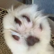 みの画像