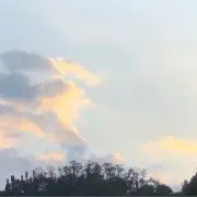 Suの画像