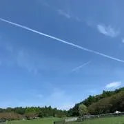 さっち