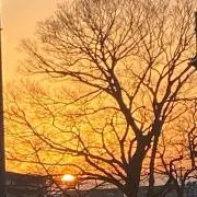 ワンメルの画像