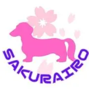 サクライロの画像