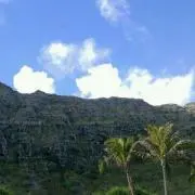leoleoの画像