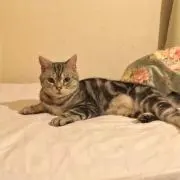 ももんが⭐︎再開しました！の画像