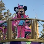 ゆの画像