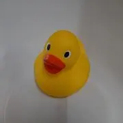 ダックの画像
