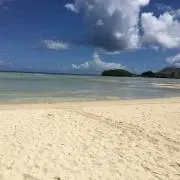 y031の画像
