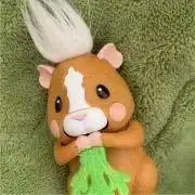 tsuyuの画像