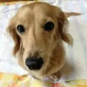 ミキブー