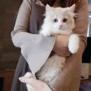milkyの画像