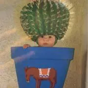 umumの画像