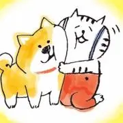 アンポンの画像