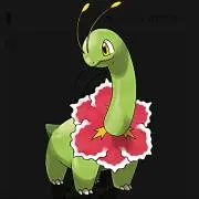 メガニウム