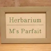 M's Parfaitプロフ一読の画像