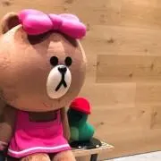 やさか