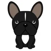 ponの画像
