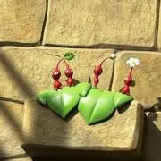 しちゅの画像