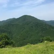 としぞうの画像