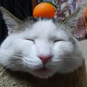 アスラン