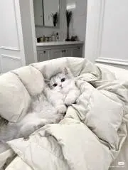 ♡の画像