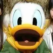 Yの画像