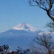 ジェンヌの画像