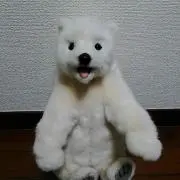fumiの画像