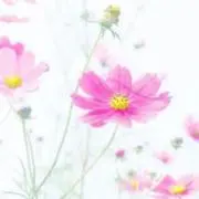 stonefree0294★天然石★の画像