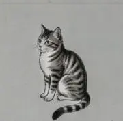 ma_te_ownerの画像