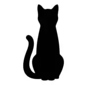 ねこの画像